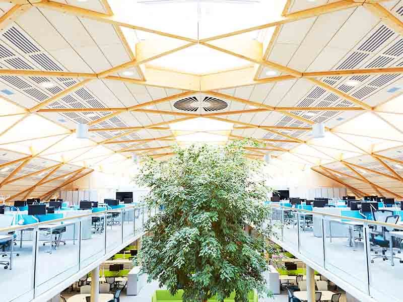 Office Space with a Tree in the Middle
