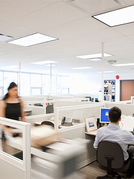 People working in cubicles