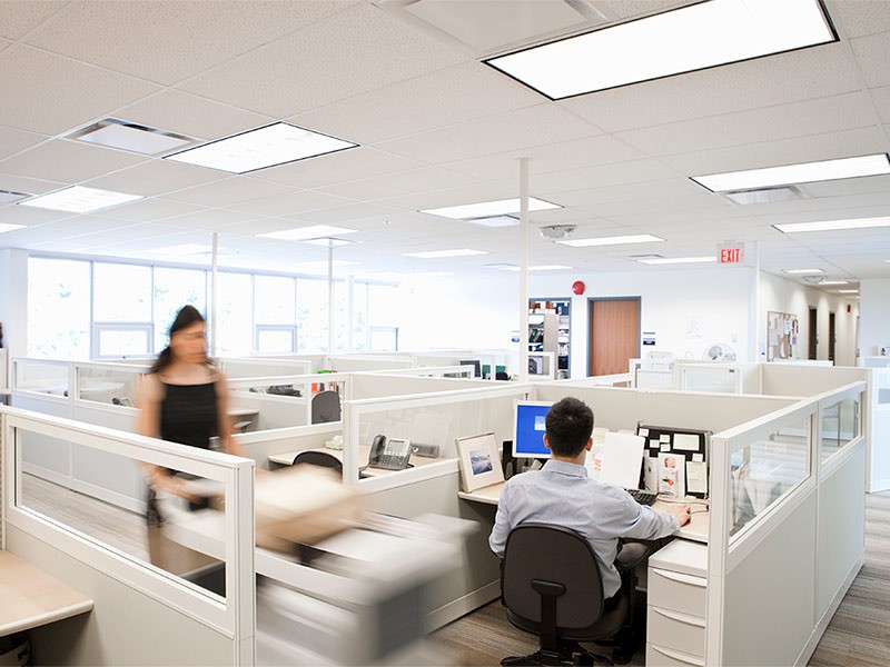People working in cubicles