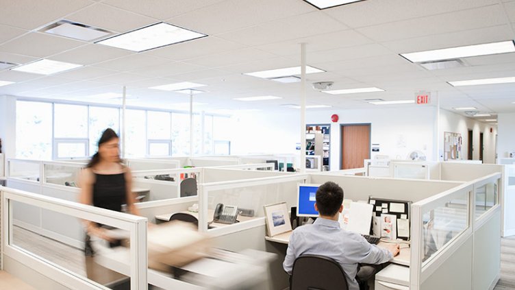 People working in cubicles
