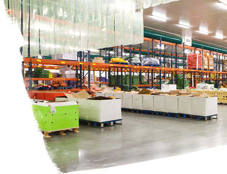 Cold storage freezer room for food