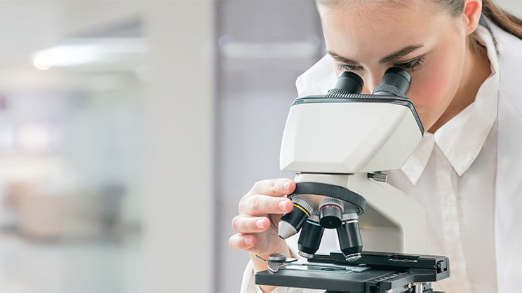 People working in a laboratory