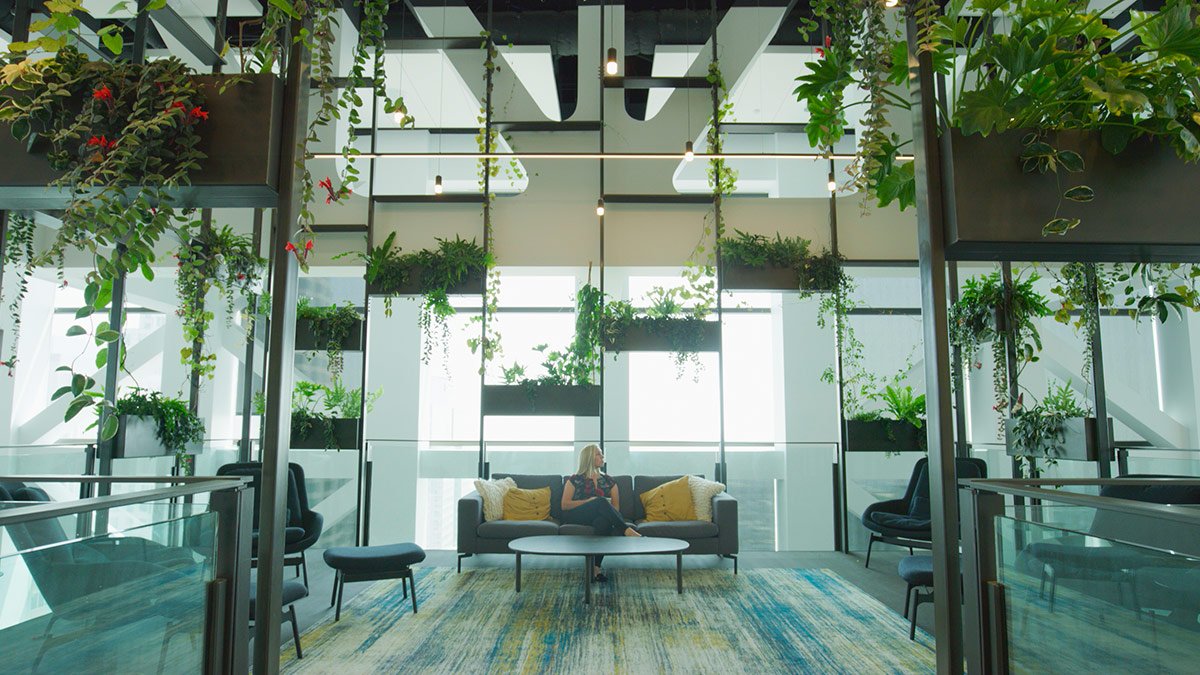 The indoor garden space at Boston Consulting Group's Los Angeles office