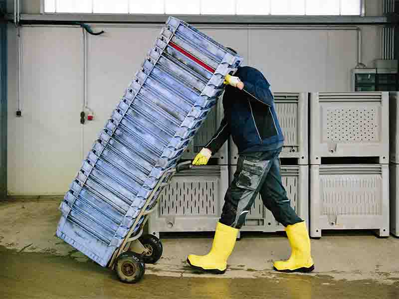 Men squeezing the cold storage space with fresh food