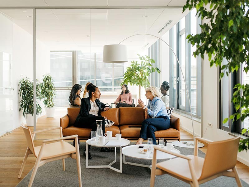 Women having a business meeting