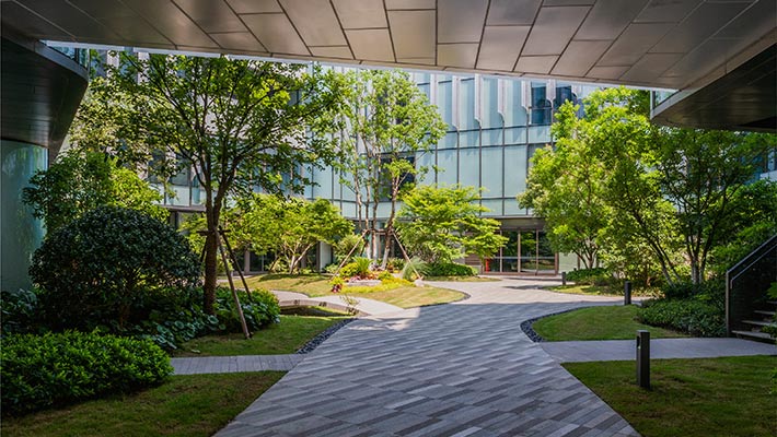 Green plants in the building premises