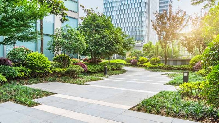 Trees and greenery surrounding buildings