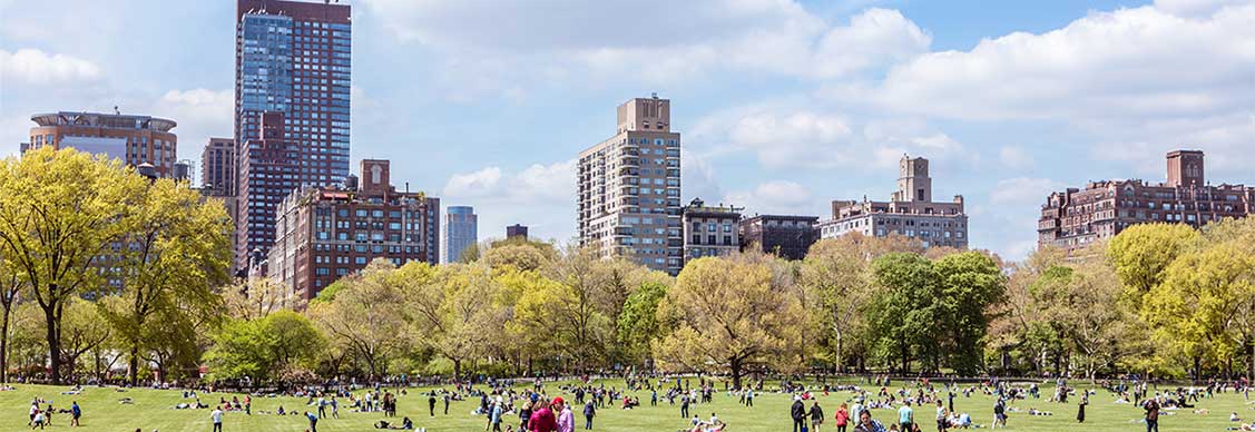 People are in the park