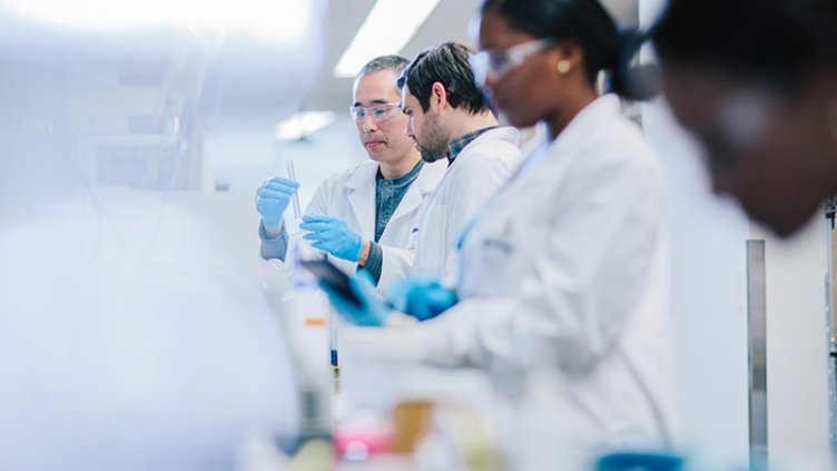 Doctors examining test tubes in laboratory