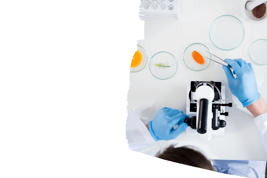 scientific research in laboratory