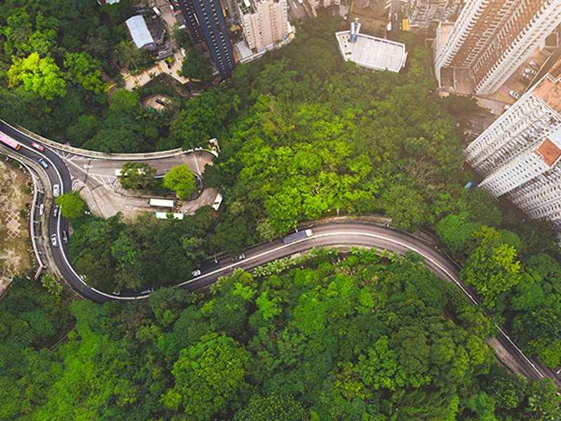 Aerial view of a road in between a green land 	