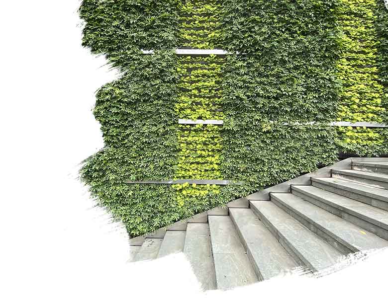 Green stairs   