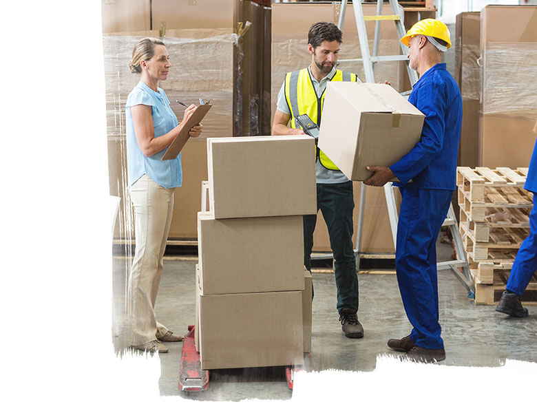 Employees working in warehouse