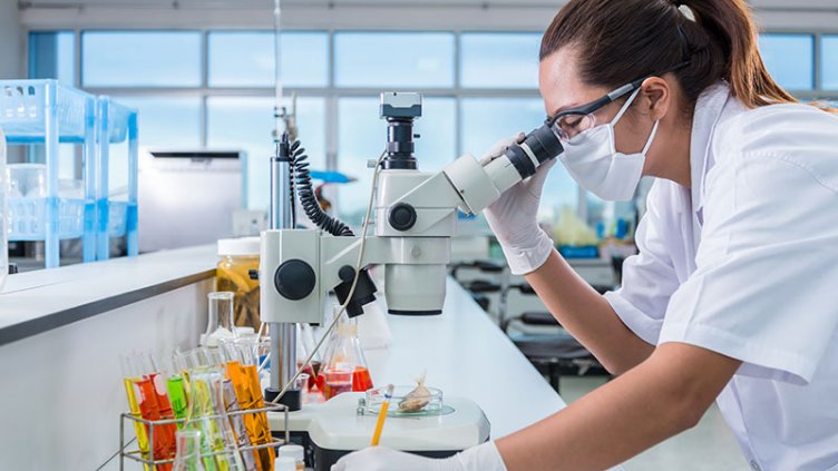 Lab technician examining test samples through microscope in laboratory